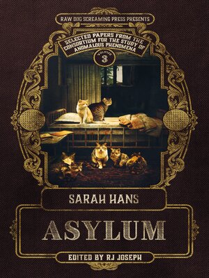 Asylum - ebook